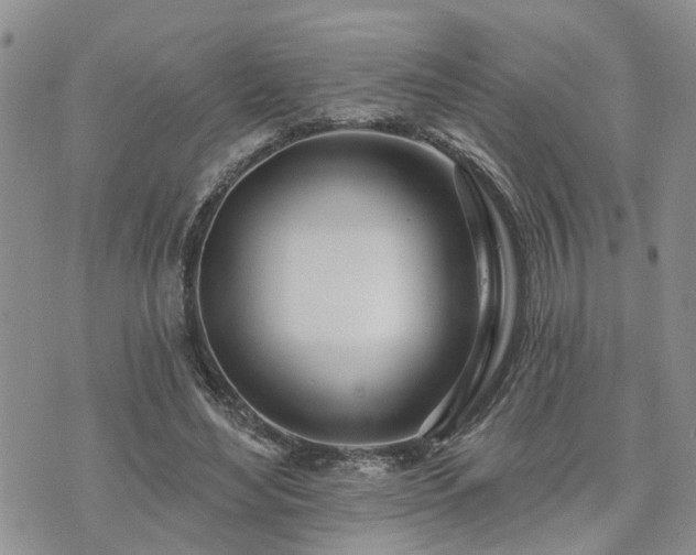 X0000073460492200608041056