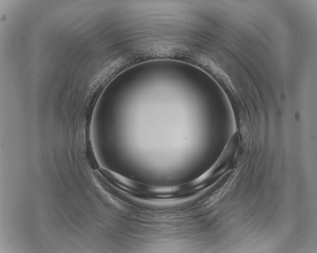 X0000073460493200608041056