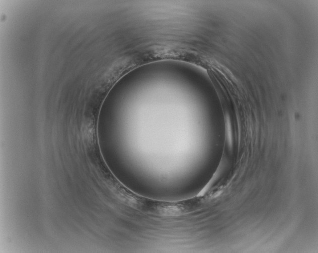 X0000073460513200608041056