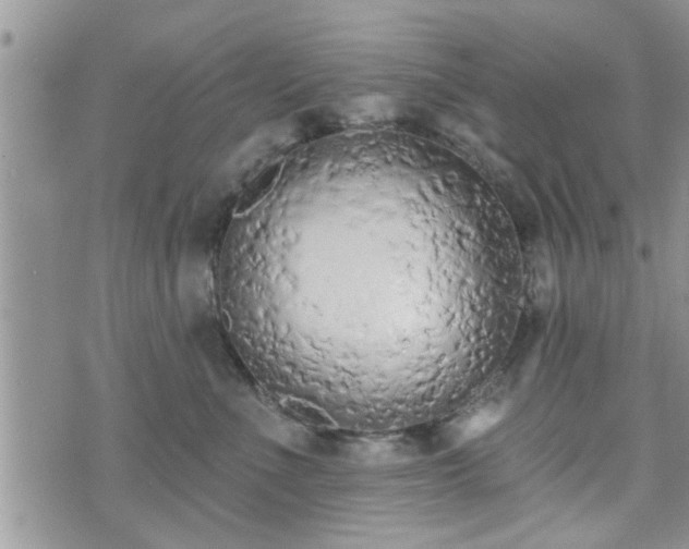 X0000073460523200608041056