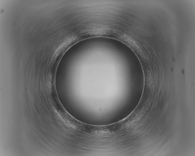 X0000073460586200608041055