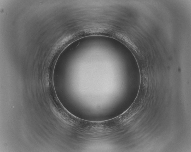 X0000073460631200608041053