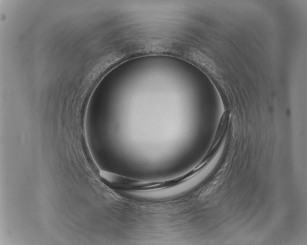 X0000073460673200608041053