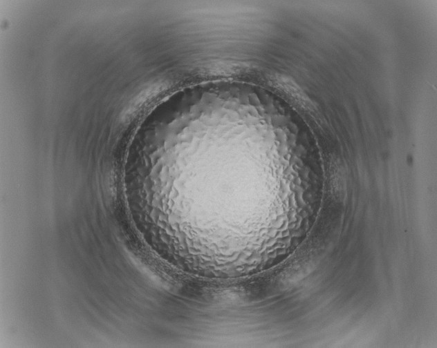 X0000073460683200608041053