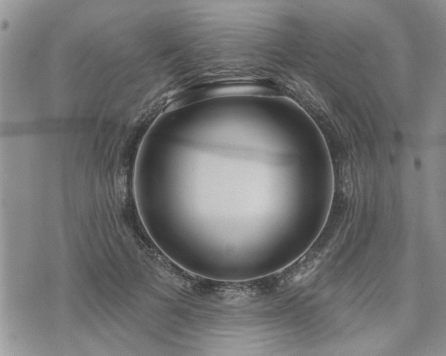 X0000073460697200608041053