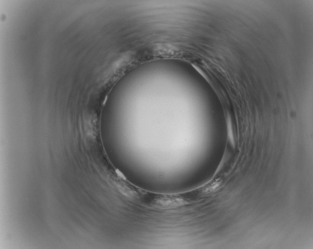 X0000073460712200608041053
