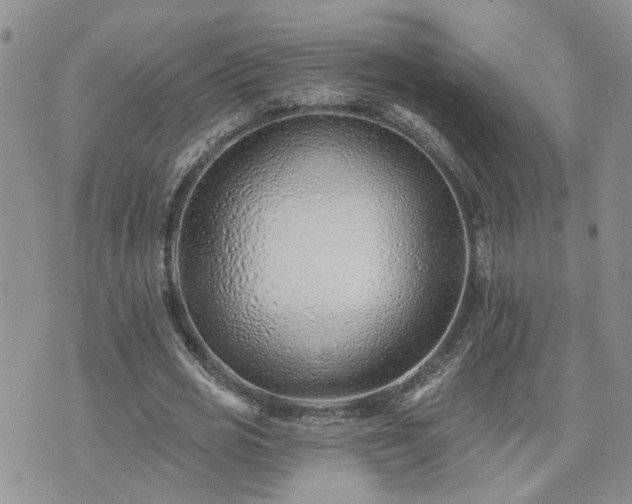 X0000073460725200608041052
