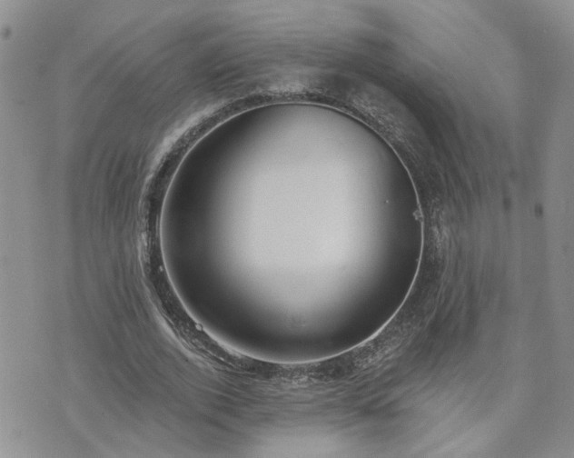 X0000073460728200608041052