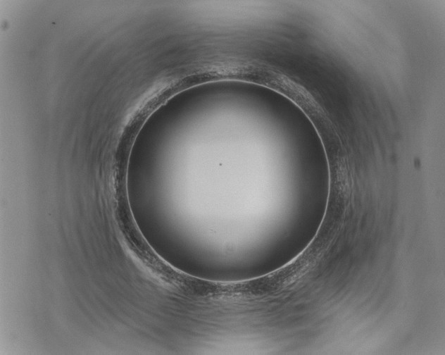 X0000073460730200608041052