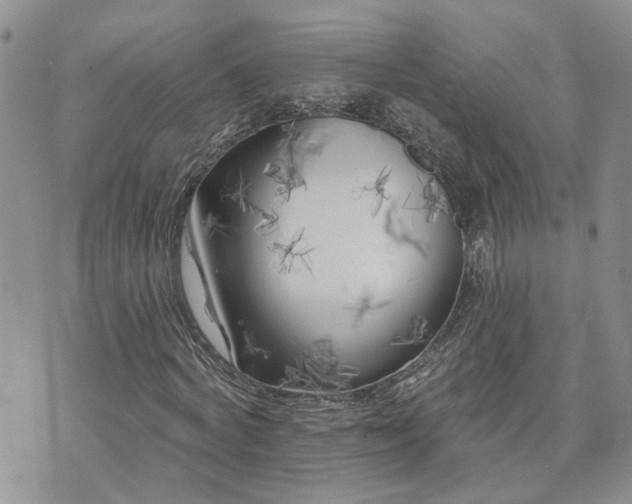 X0000073460772200608041052