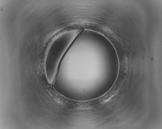 X0000073460822200608041050