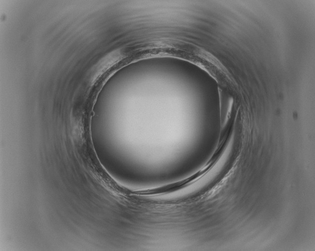 X0000073460826200608041050
