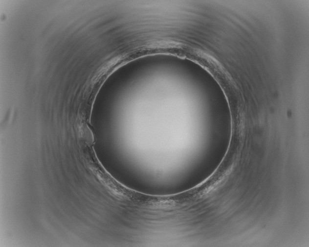 X0000073460833200608041050