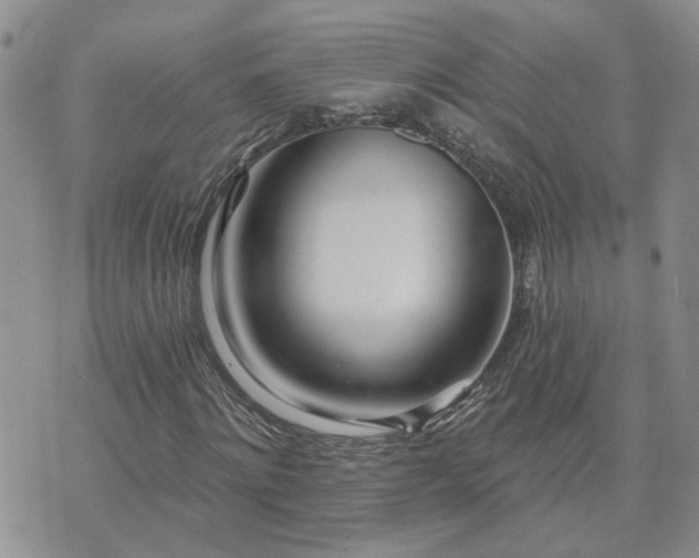 X0000073460868200608041050