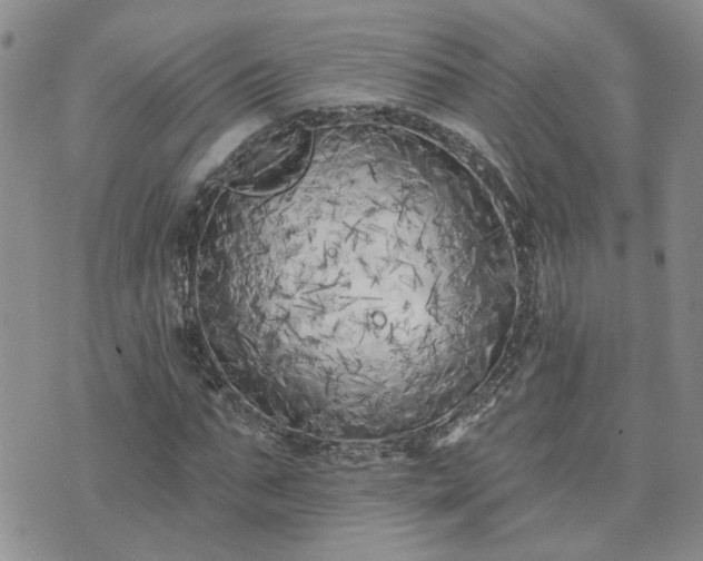 X0000073460871200608041050