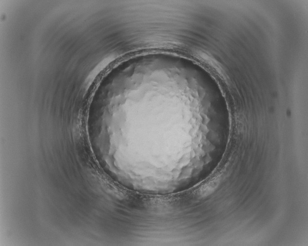 X0000073460875200608041050