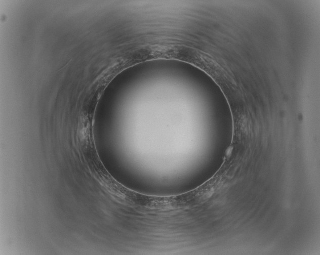 X0000073460914200608041049
