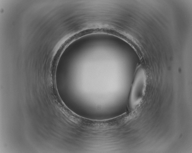 X0000073460927200608041049