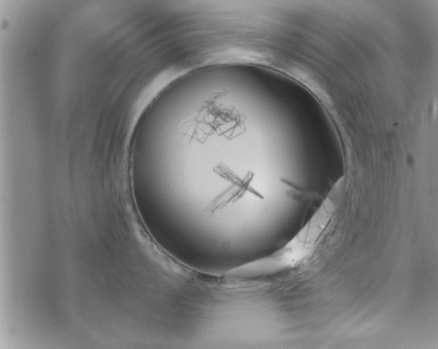 X0000073461008200608041048