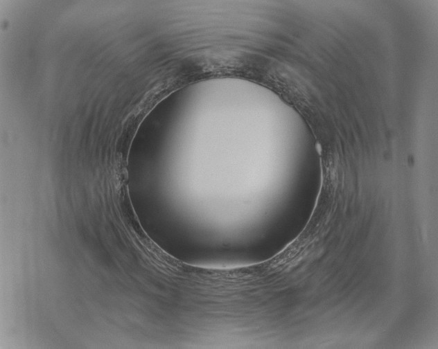 X0000073461012200608041047