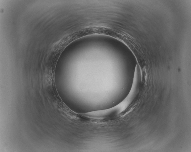 X0000073461014200608041047