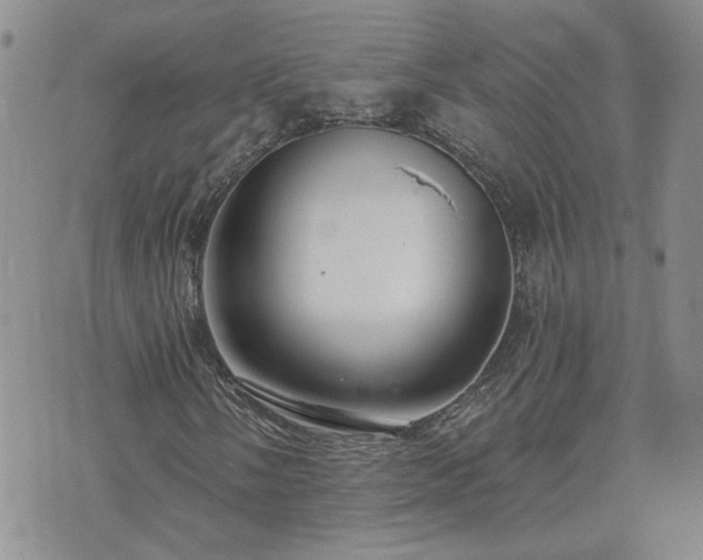 X0000073461058200608041047