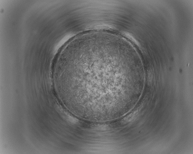 X0000073461071200608041047