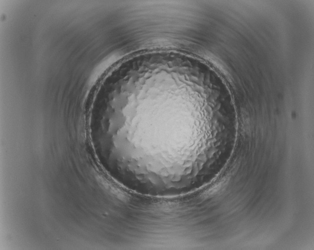 X0000073461075200608041047
