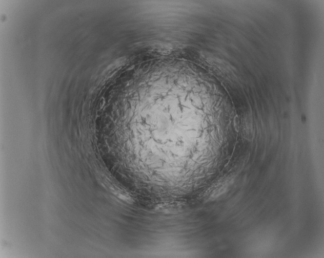 X0000073461105200608041045