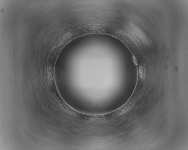 X0000073461107200608041045
