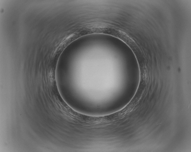 X0000073461108200608041045