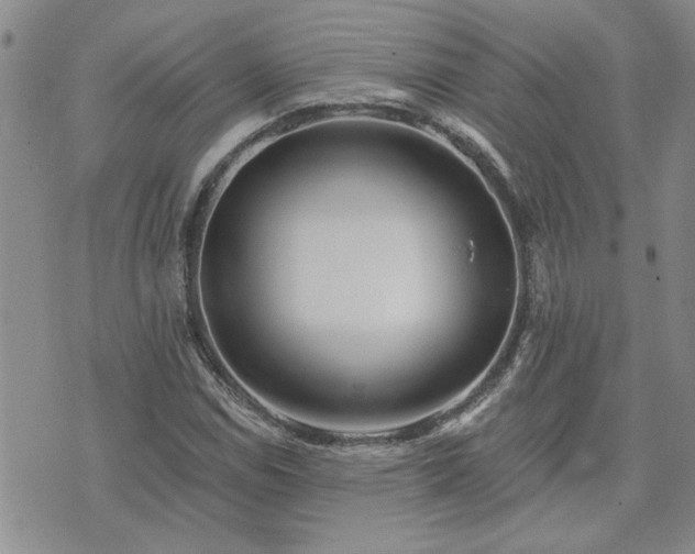 X0000073461114200608041046