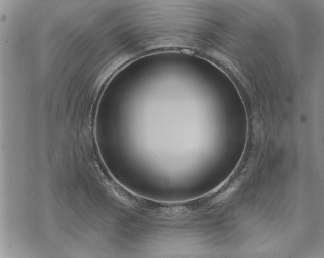 X0000073461129200608041046