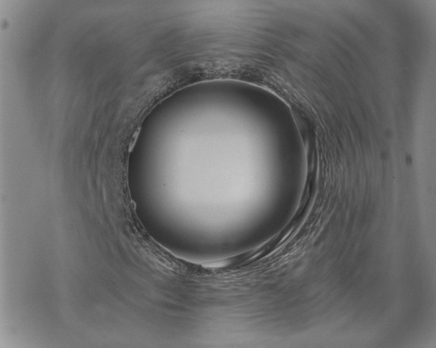 X0000073461153200608041045