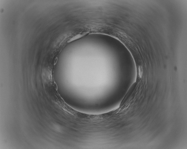 X0000073461155200608041045
