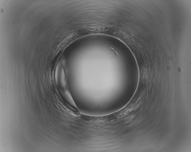 X0000073461202200608041044