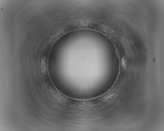 X0000073461203200608041044