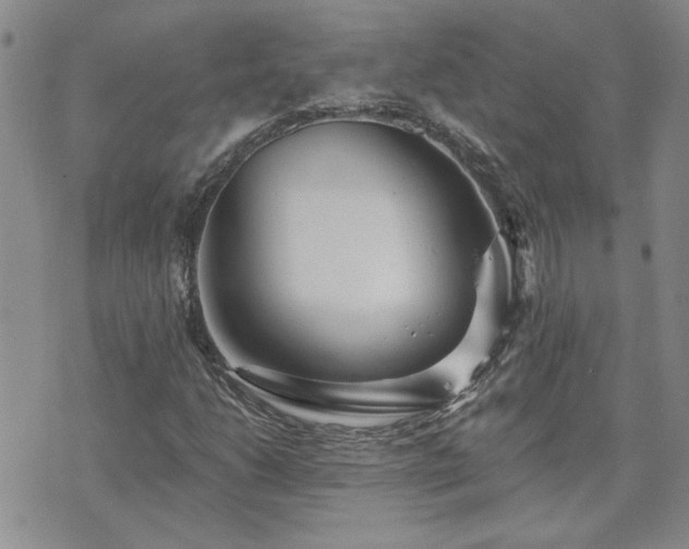 X0000073461206200608041044