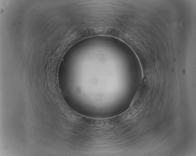 X0000073461249200608041044