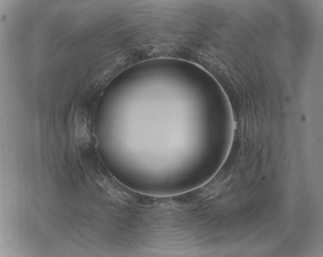 X0000073461250200608041044