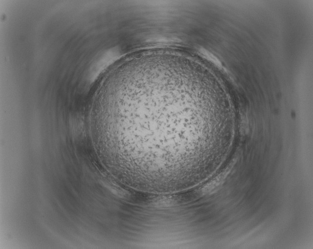 X0000073461259200608041044