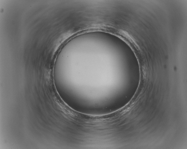 X0000073461260200608041044