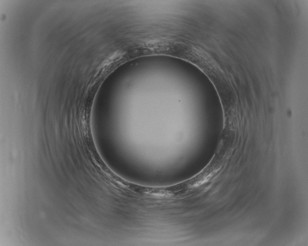 X0000073461298200608041042