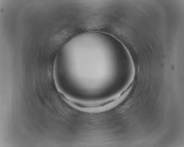 X0000073461300200608041042