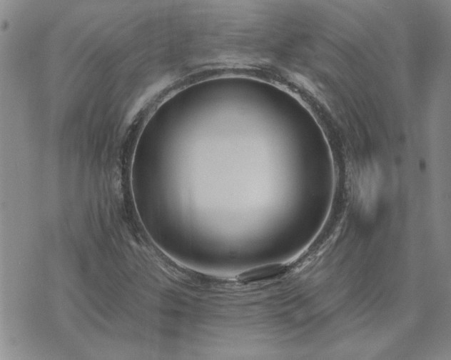 X0000073461307200608041042