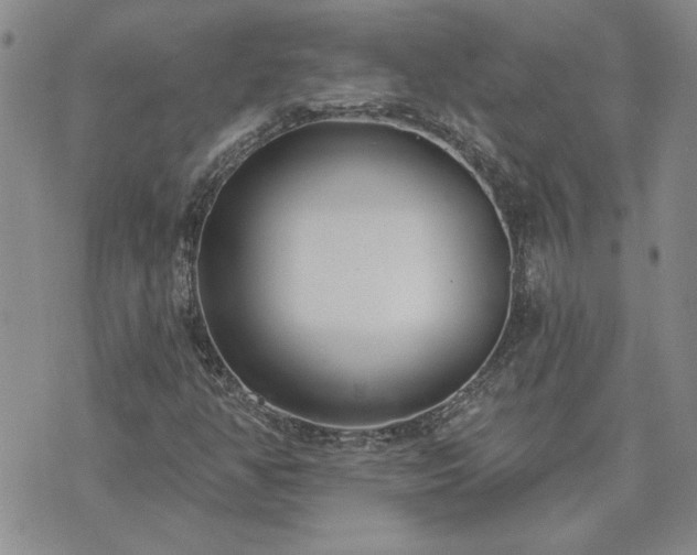 X0000073461350200608041042