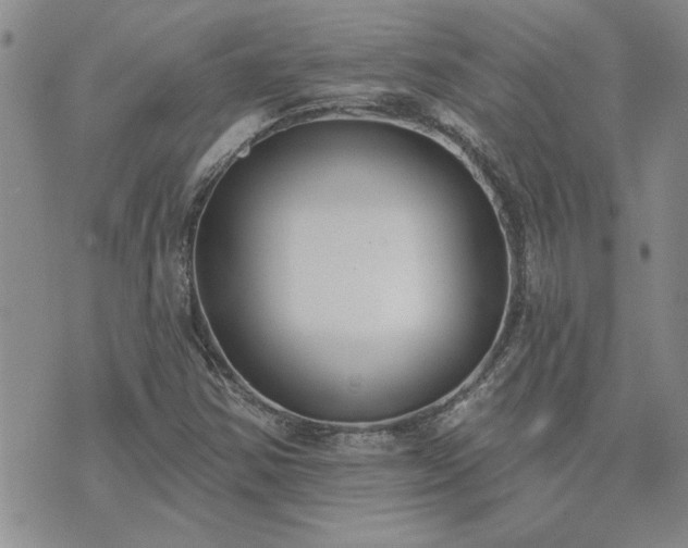 X0000073461354200608041042