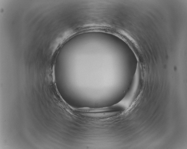 X0000073461357200608041042