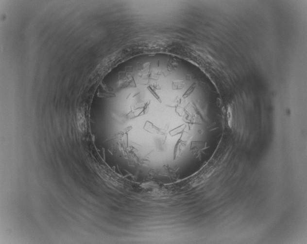 X0000073461395200608041041