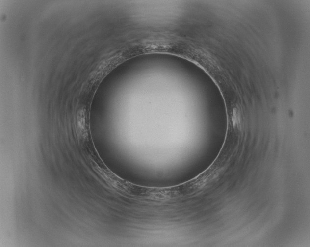 X0000073461396200608041041